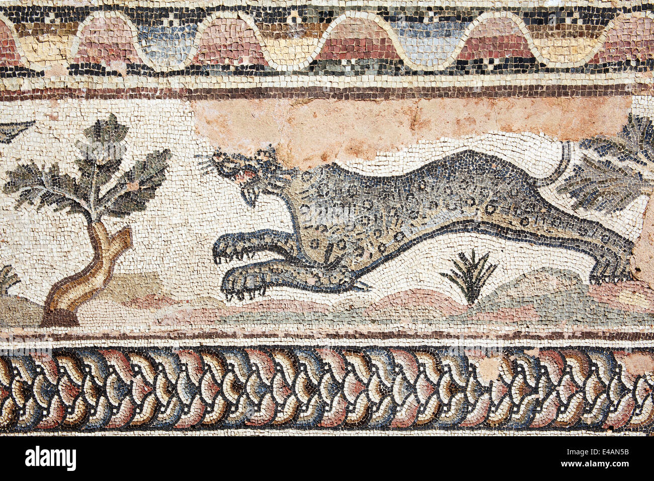 Leopard vom 4. Jahrhundert römische Mosaik in der Villa des Theseus, Paphos, Zypern Stockfoto