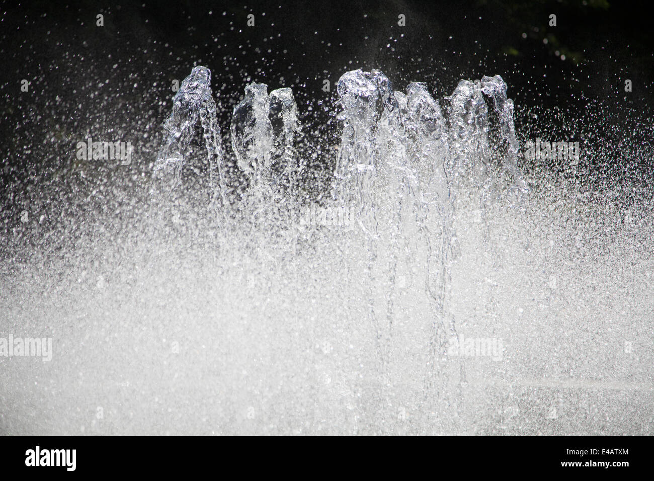 Tropfen von Wasser Stockfoto