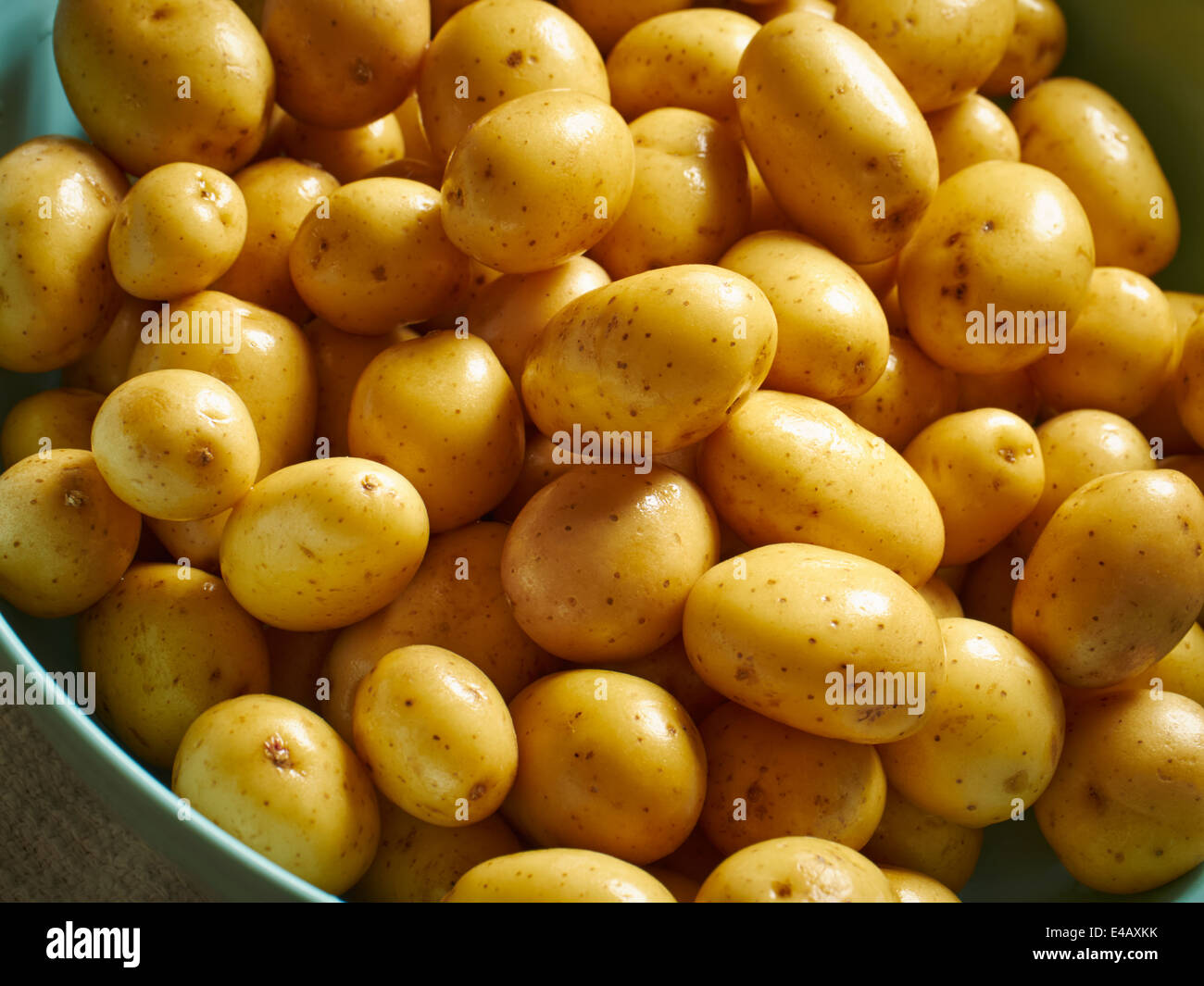 Baby gelbe Kartoffeln Stockfoto
