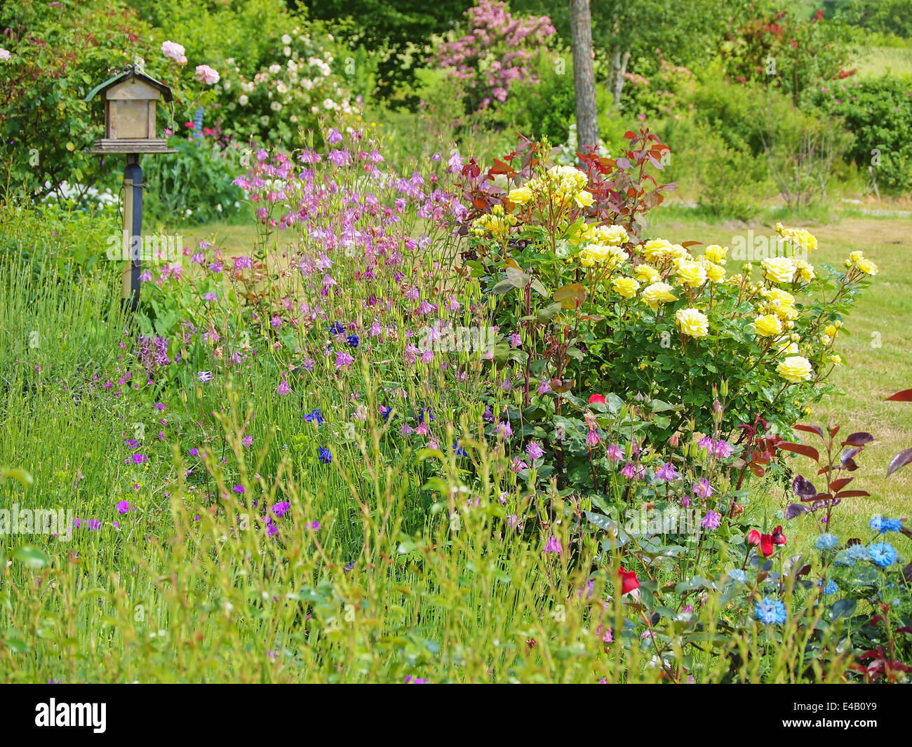 Garten mit bunten Blumen und einem Vogel-Kasten im Hintergrund, Frankreich Stockfoto