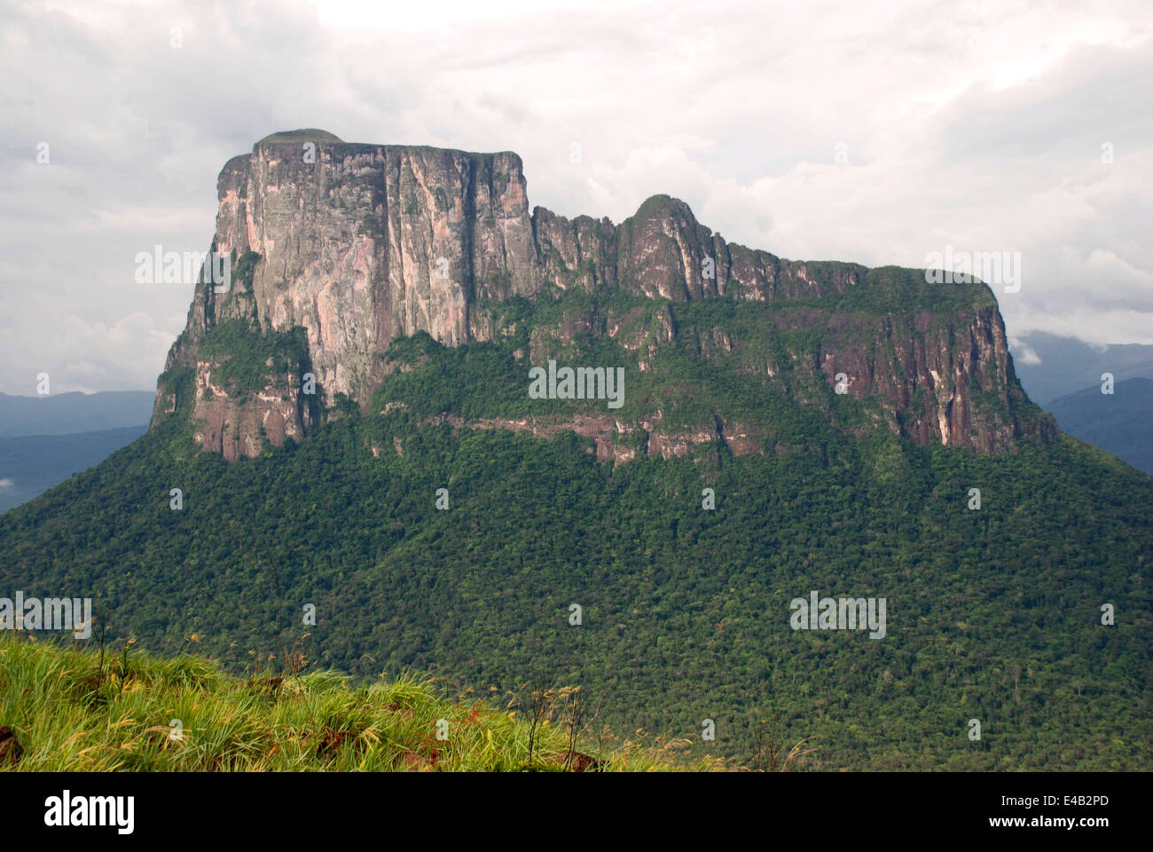 Autana Tepui, Bundesstaat Amazonas, Venezuela Stockfoto