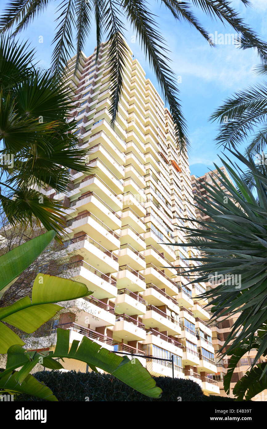 Sol Pelicanos OCAS Hotel, Calle Gerona, Benidorm, Costa Blanca, Provinz Alicante, Spanien Stockfoto