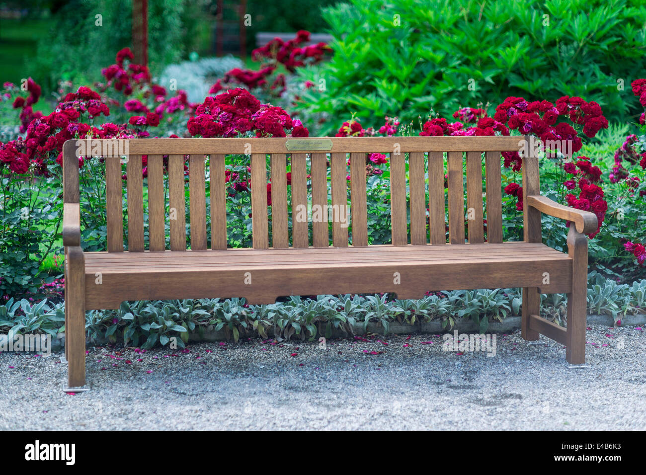 Parkbank in blühenden Rosen Stockfotografie - Alamy