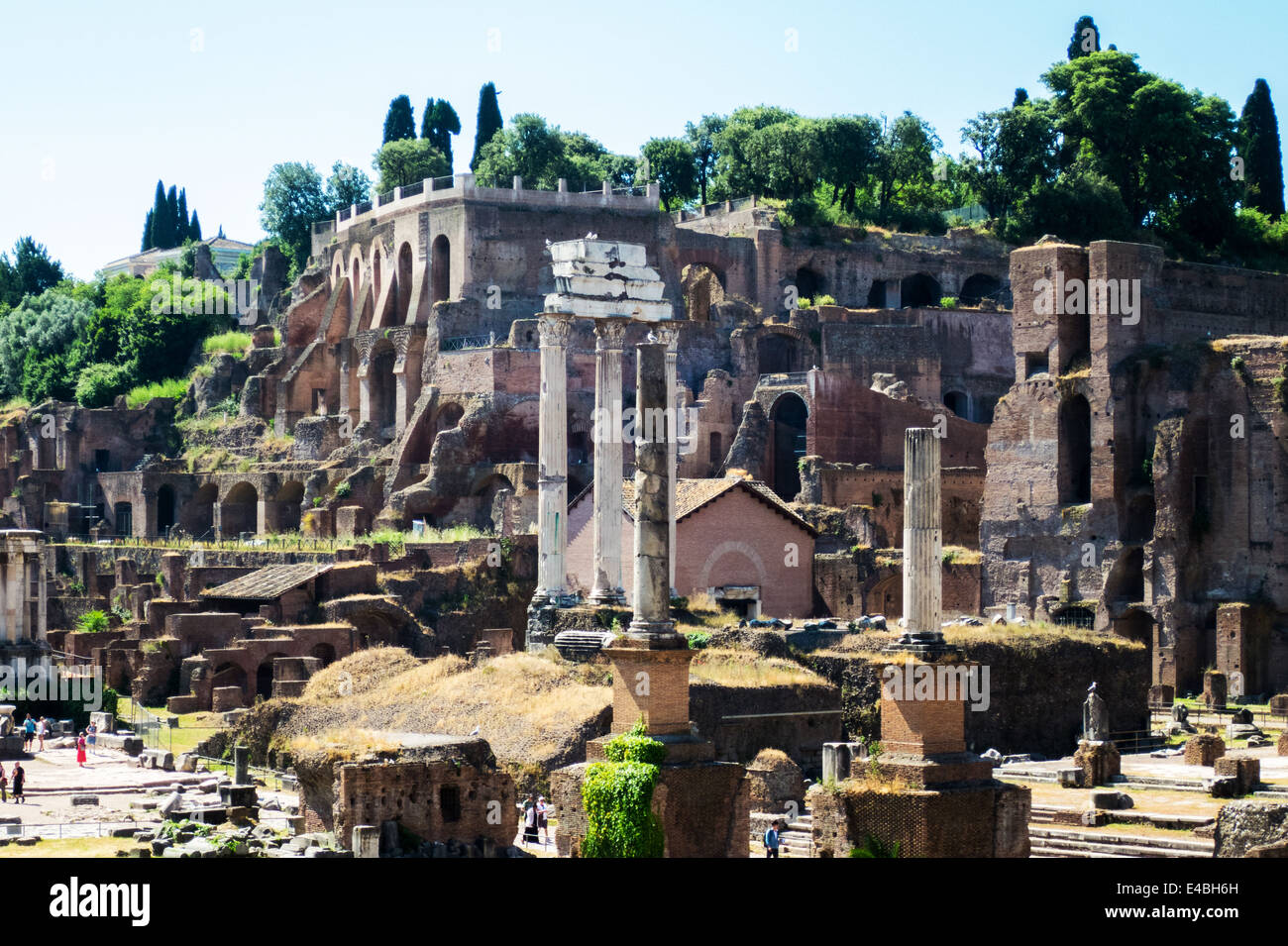 Die Ruinen des Forum Romanum mit Blick auf dem Palatin in Rom Stockfoto