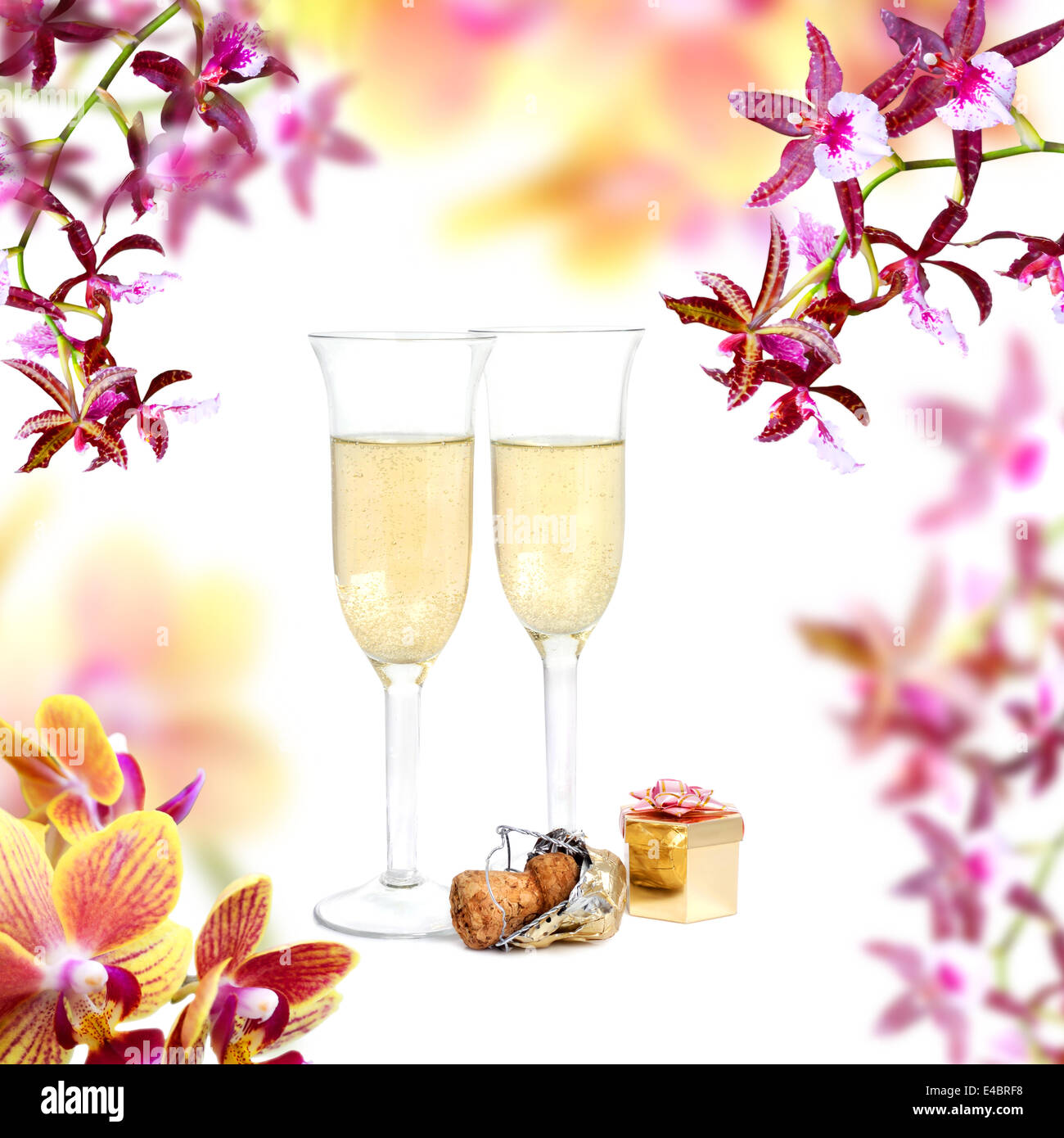 Champagner und Orchidee Stockfoto