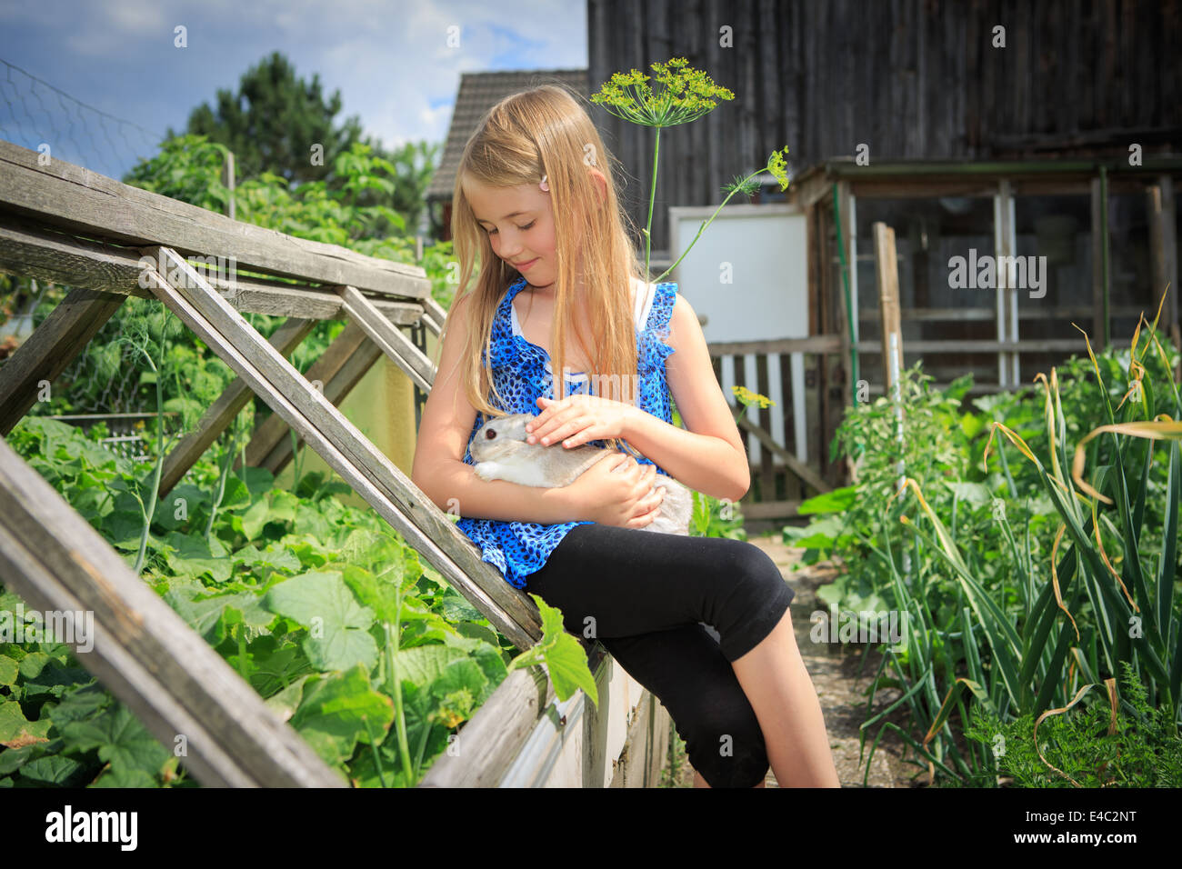 Teenager-Mädchen spielen mit einem Kaninchen im Hinterhof Stockfoto