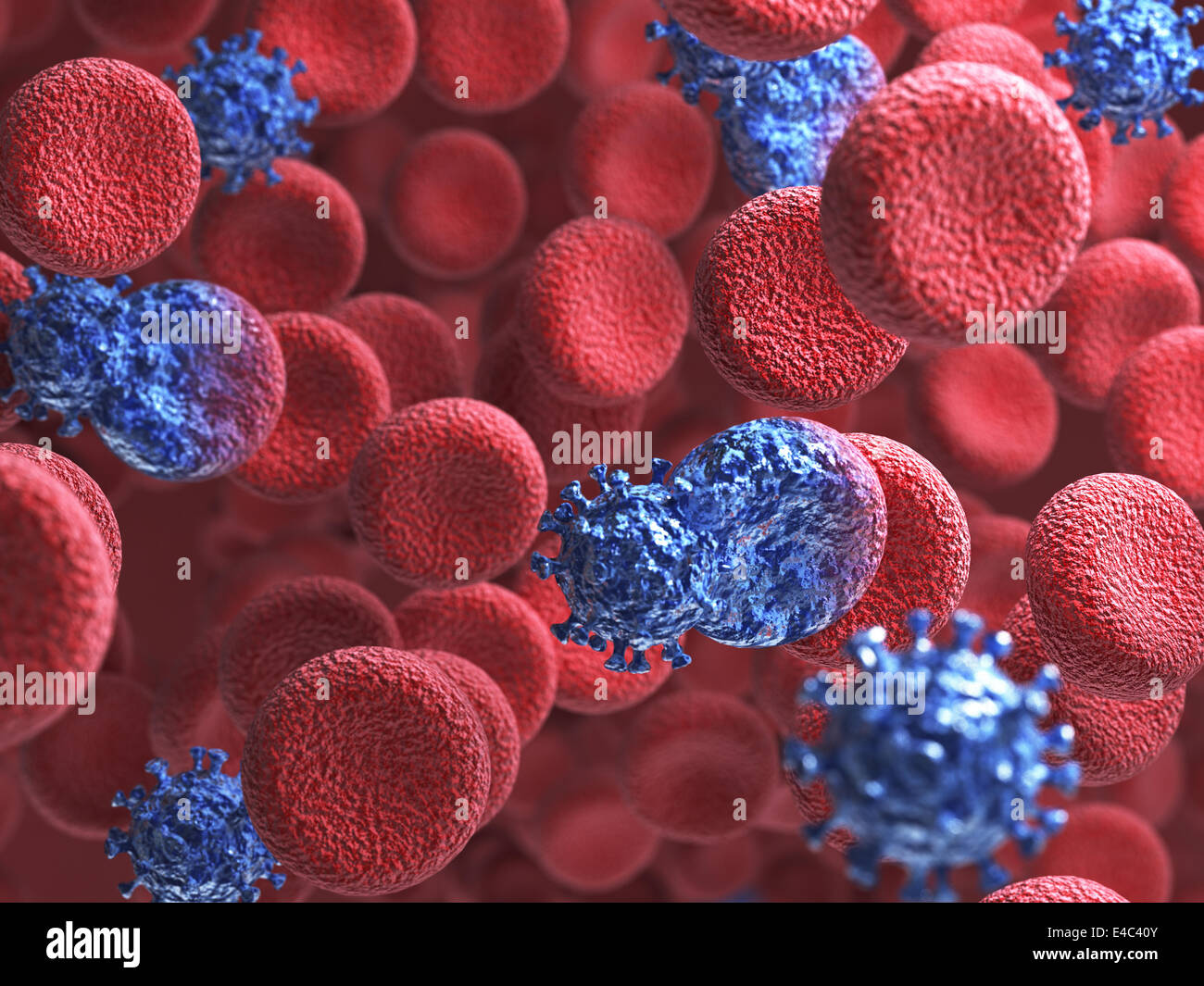 3D Render Virus Zelle infizieren, Blut und menschliche Herz-Kreislauf-system Stockfoto