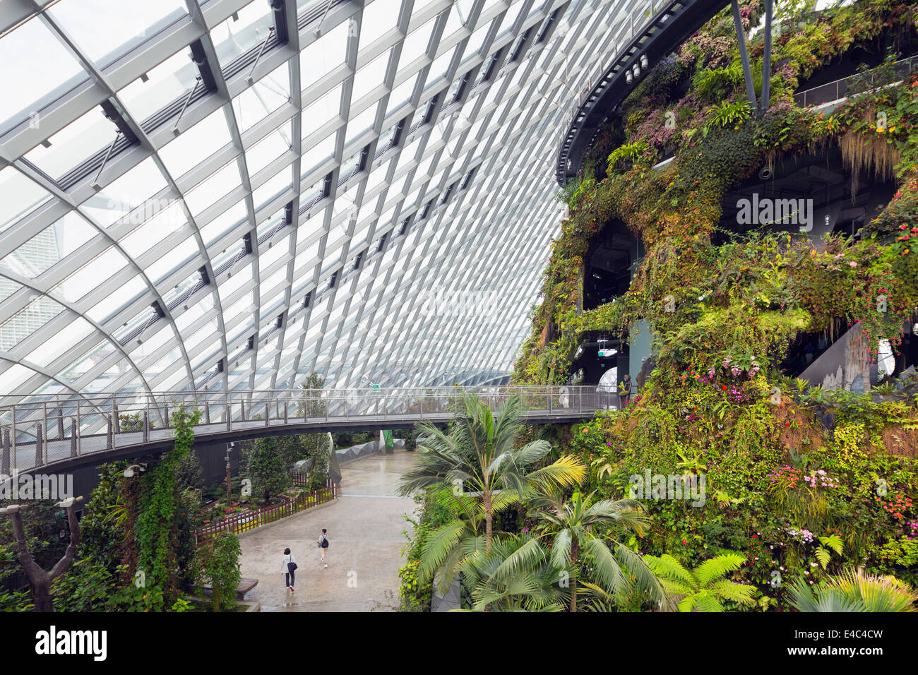 South East Asia, Singapur, Gärten durch die Bucht Nebelwald Botanischer Garten, canopy walkway Stockfoto