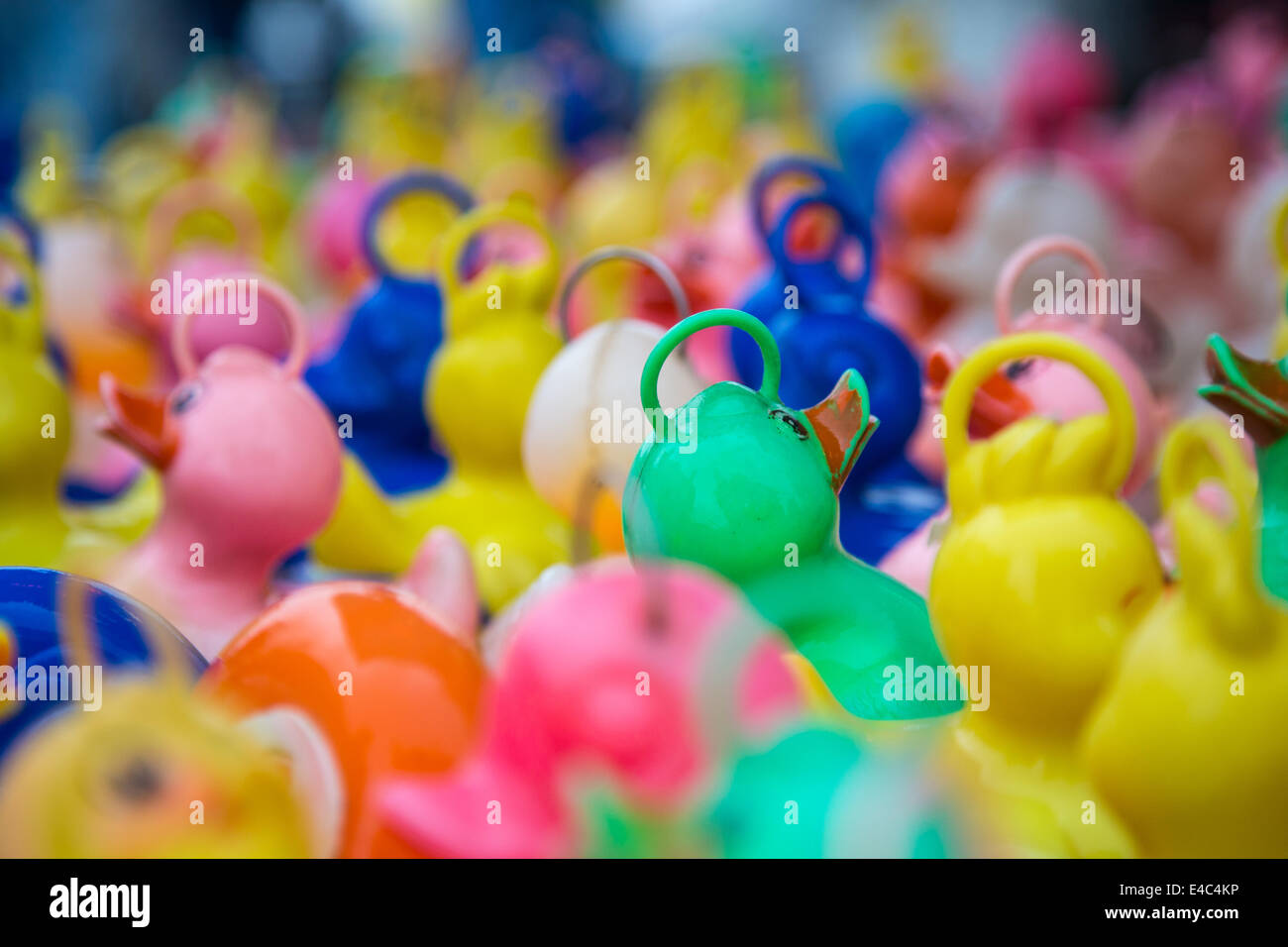 Hook-a-Ente Stockfoto