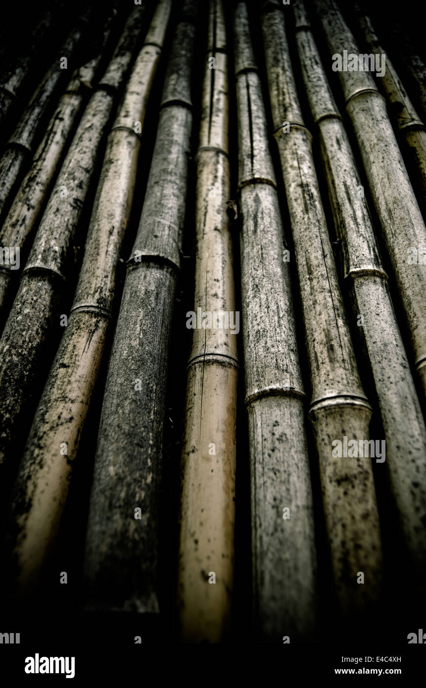 Grunge Bambus Stockfoto