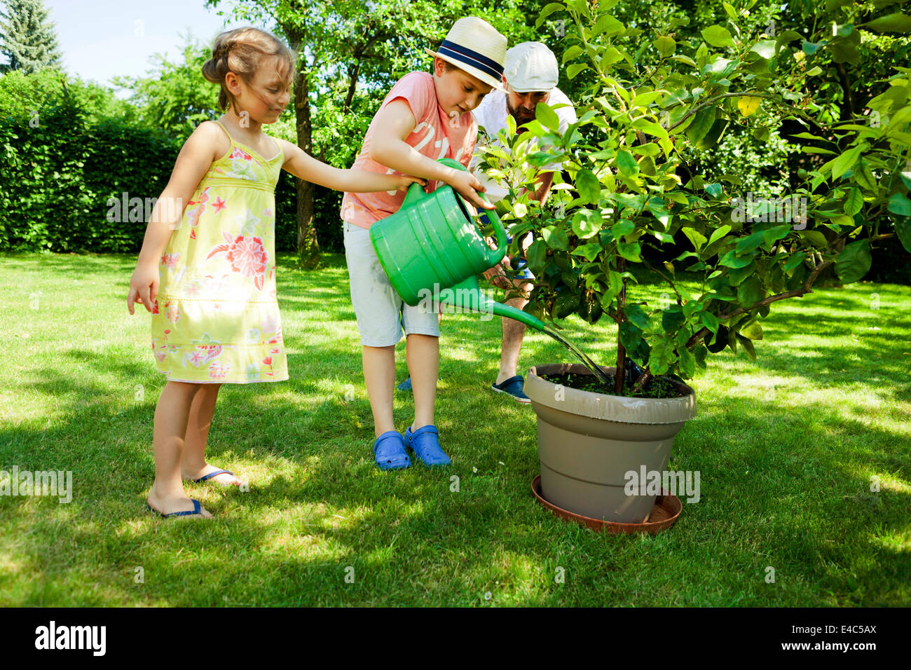 Vater und zwei Kinder, die Bewässerung Topfpflanze im Garten, München, Bayern, Deutschland Stockfoto