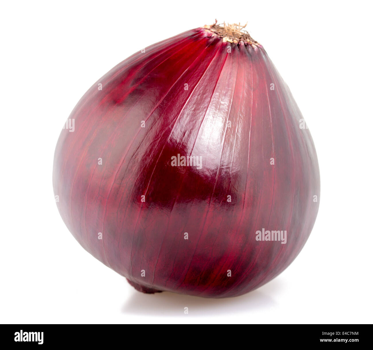 Rote Zwiebel auf einem weißen Hintergrund isoliert Stockfoto