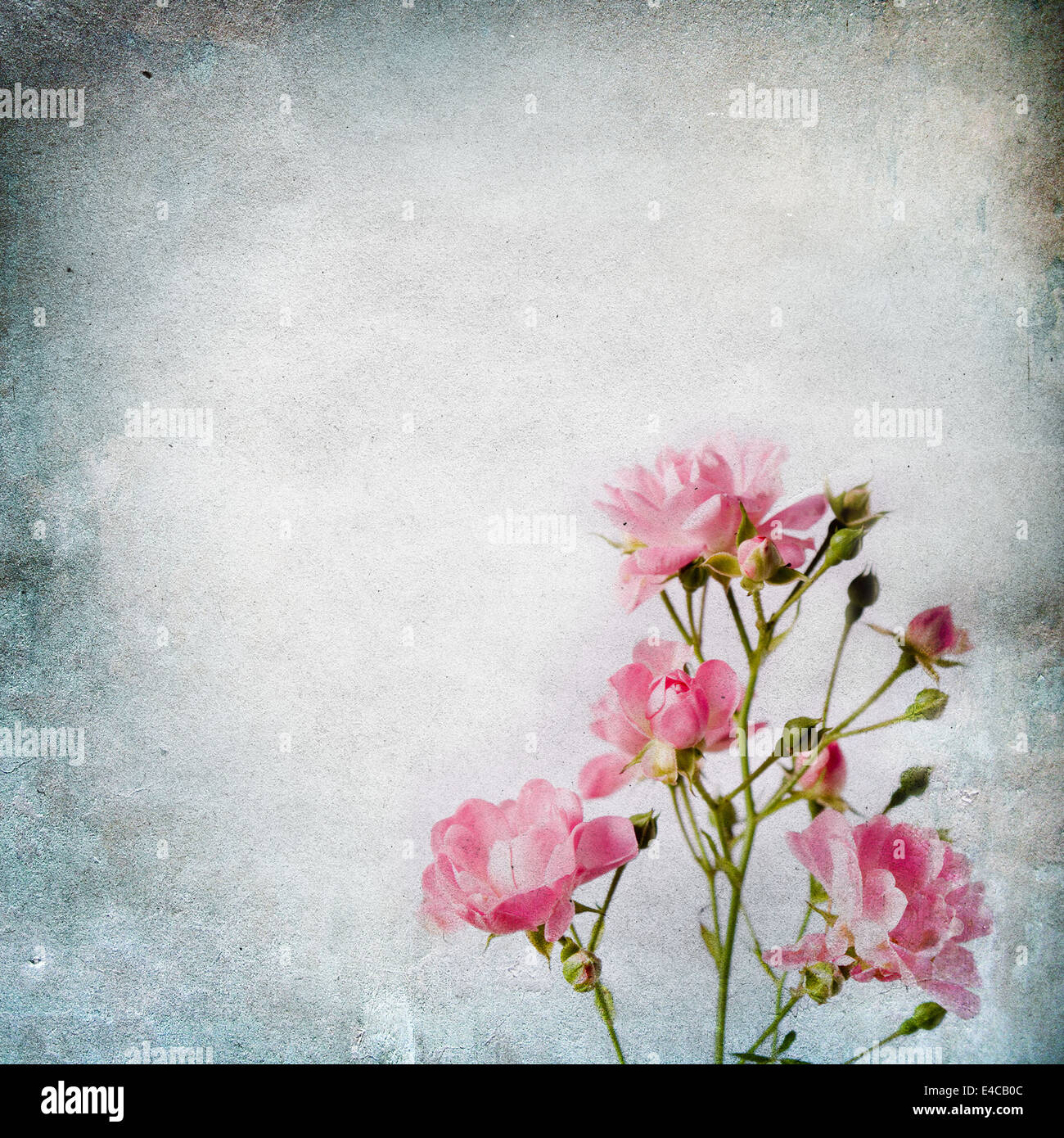Vintage shabby chic-Hintergrund mit Rosen Stockfoto, Bild: 71572156 ... Vintage shabby chic-Hintergrund mit Rosen Stockfoto, Bild: 71572156 ...