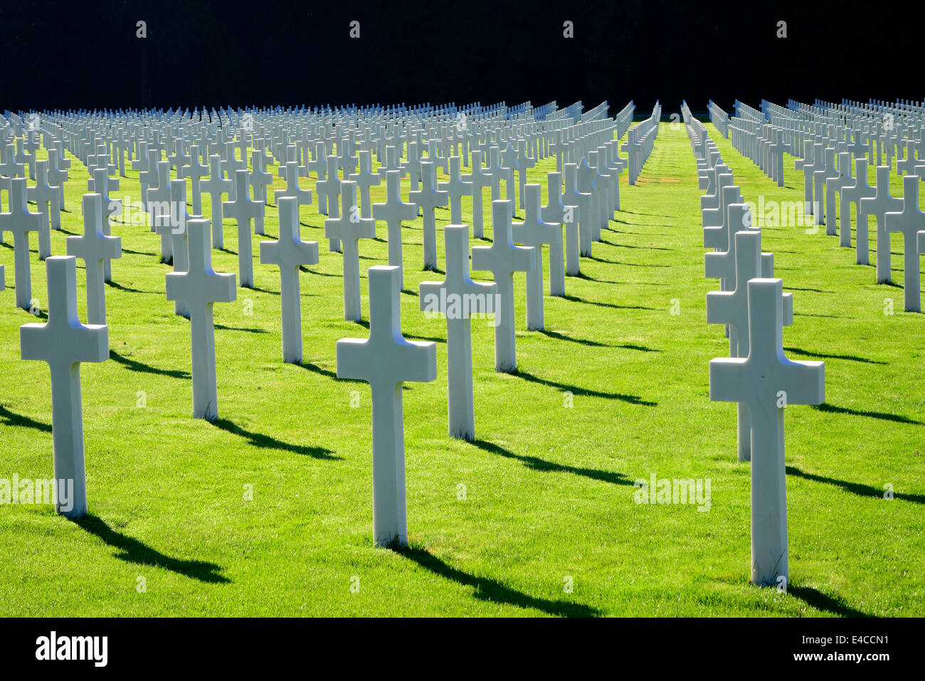 Weiß Kreuz Marker Luxembourg American Cemetery und der zweite Weltkrieg Denkmal Europas Stockfoto