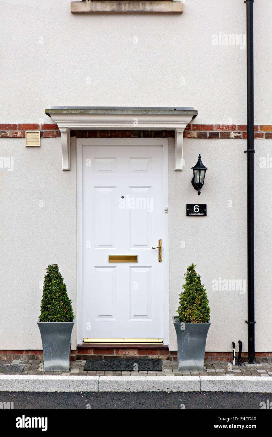 Weiße Tür, neues Haus mit zwei Metall-Pflanzer und Pflanzen Stockfoto
