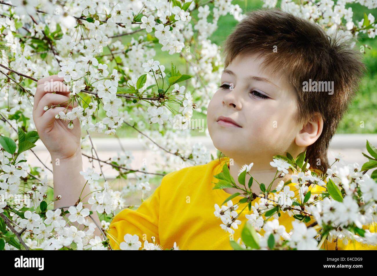 Der junge im Garten im Frühjahr Stockfoto