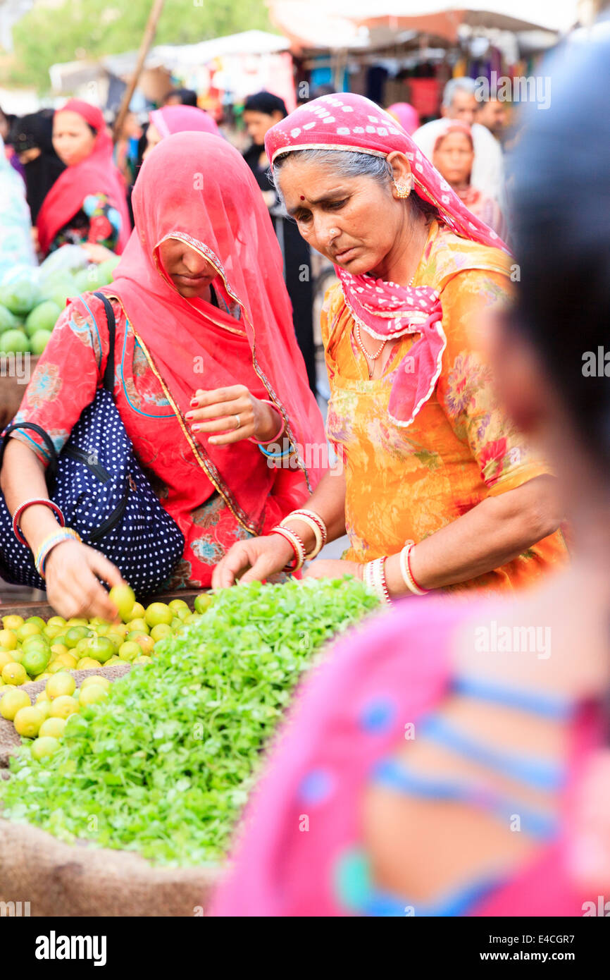 Frauen in bunten Saris kaufen Obst und Sadar. Markt / Basar, Jodhpur, Rajasthan, Indien Stockfoto