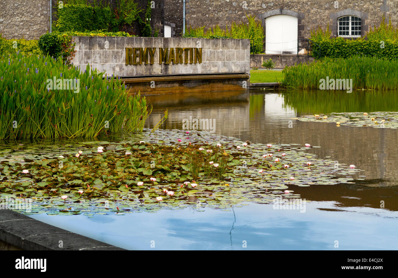 Gebäude am Hauptsitz Remy Martin in Cognac Frankreich wo hochwertige Brandy hergestellt und im Alter ist in Holzfässern Stockfoto