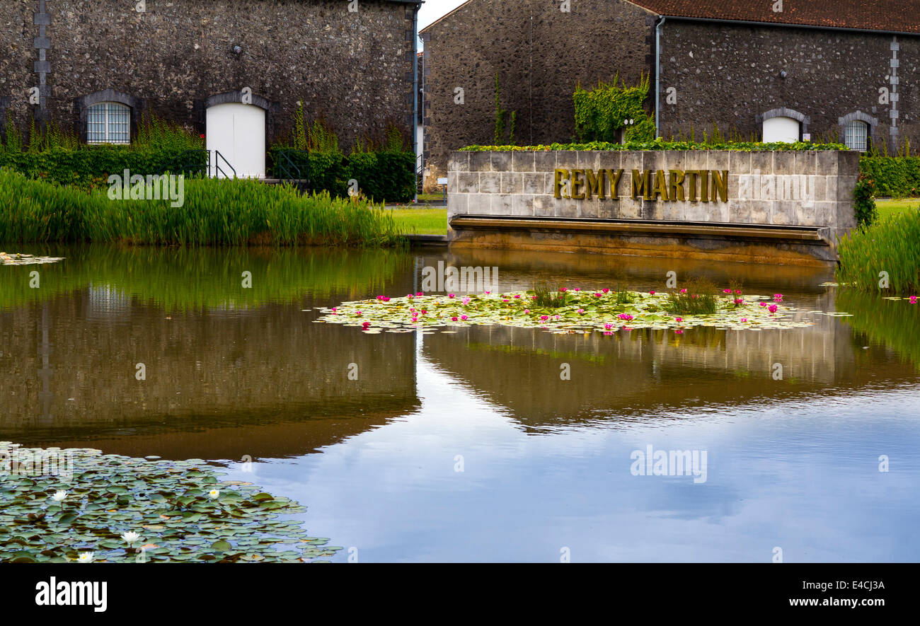 Gebäude am Hauptsitz Remy Martin in Cognac Frankreich wo hochwertige Brandy hergestellt und im Alter ist in Holzfässern Stockfoto