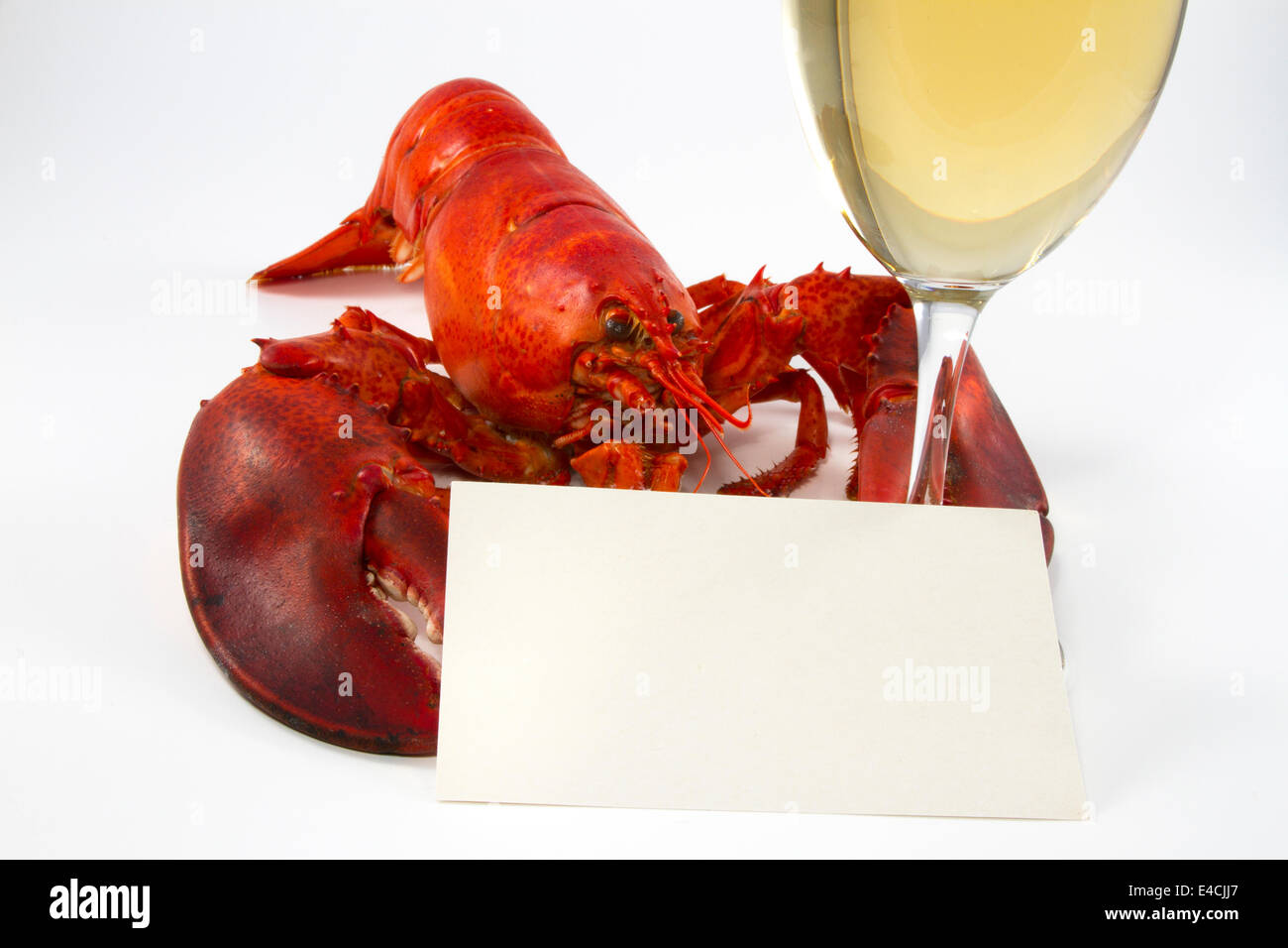 Ganzen gekochten Hummer mit einem Glas Weißwein und ein Rezept oder Menü-Karte Stockfoto