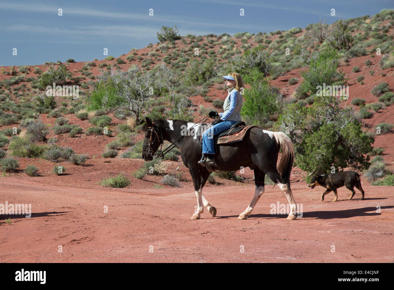 Moab, Utah - Reiterin auf einer Guest Ranch. Stockfoto