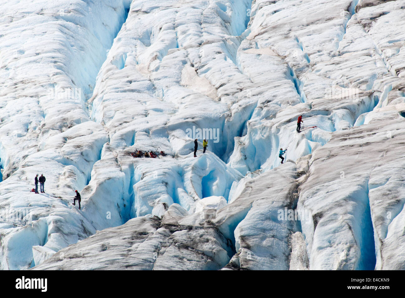 Harding Icefield Trail entlang Exit-Gletscher, Kenai Fjords National Park, in der Nähe von Seward, Alaska. Stockfoto