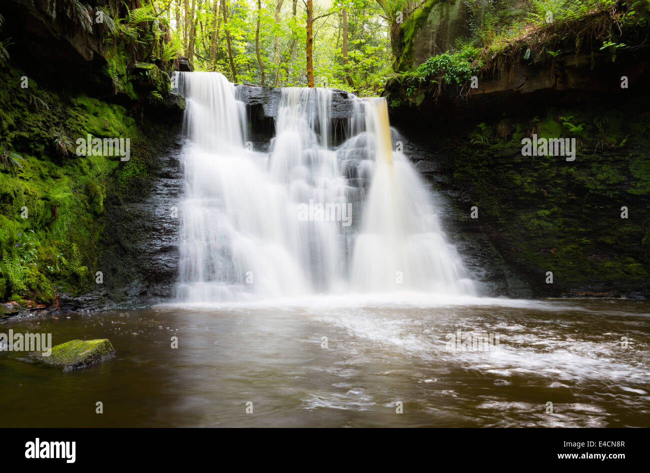 GoIT Lager Wasserfall in Haren Woods in der Nähe von Bradford Stockfoto