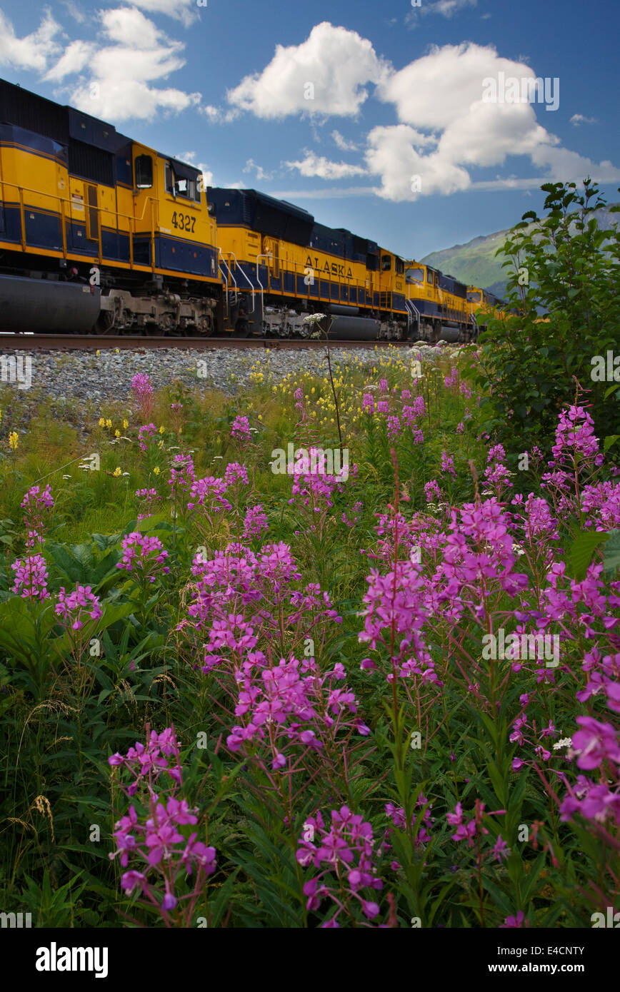 Alaska Railroad, Seward, Alaska. Stockfoto