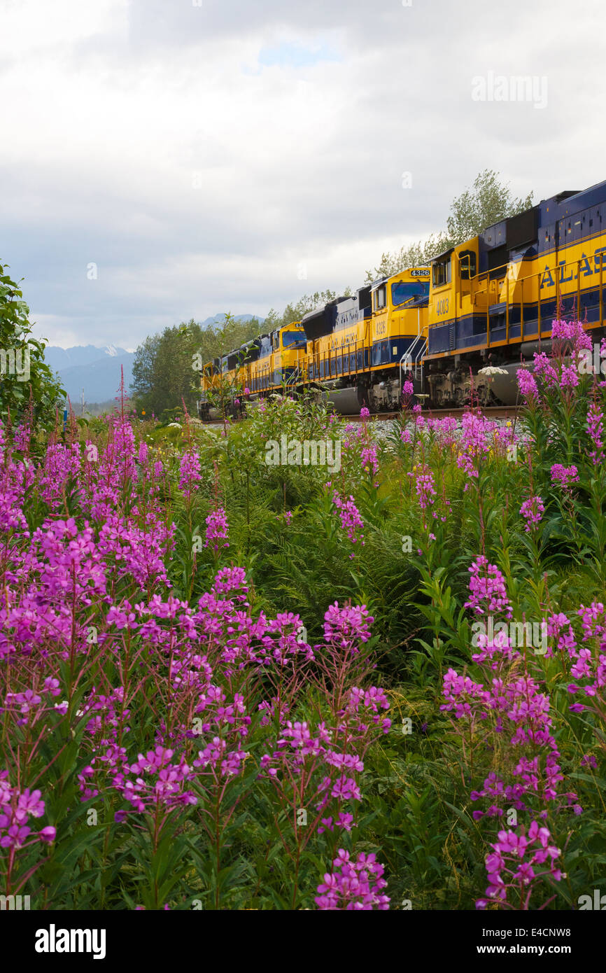 Alaska Railroad, Seward, Alaska. Stockfoto