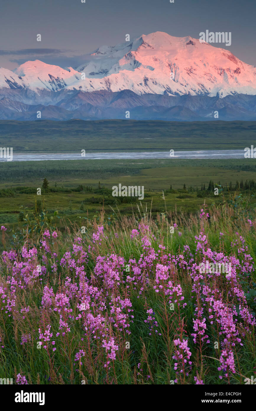 Mt McKinley auch bekannt als Denali Denali Nationalpark, Alaska. Stockfoto