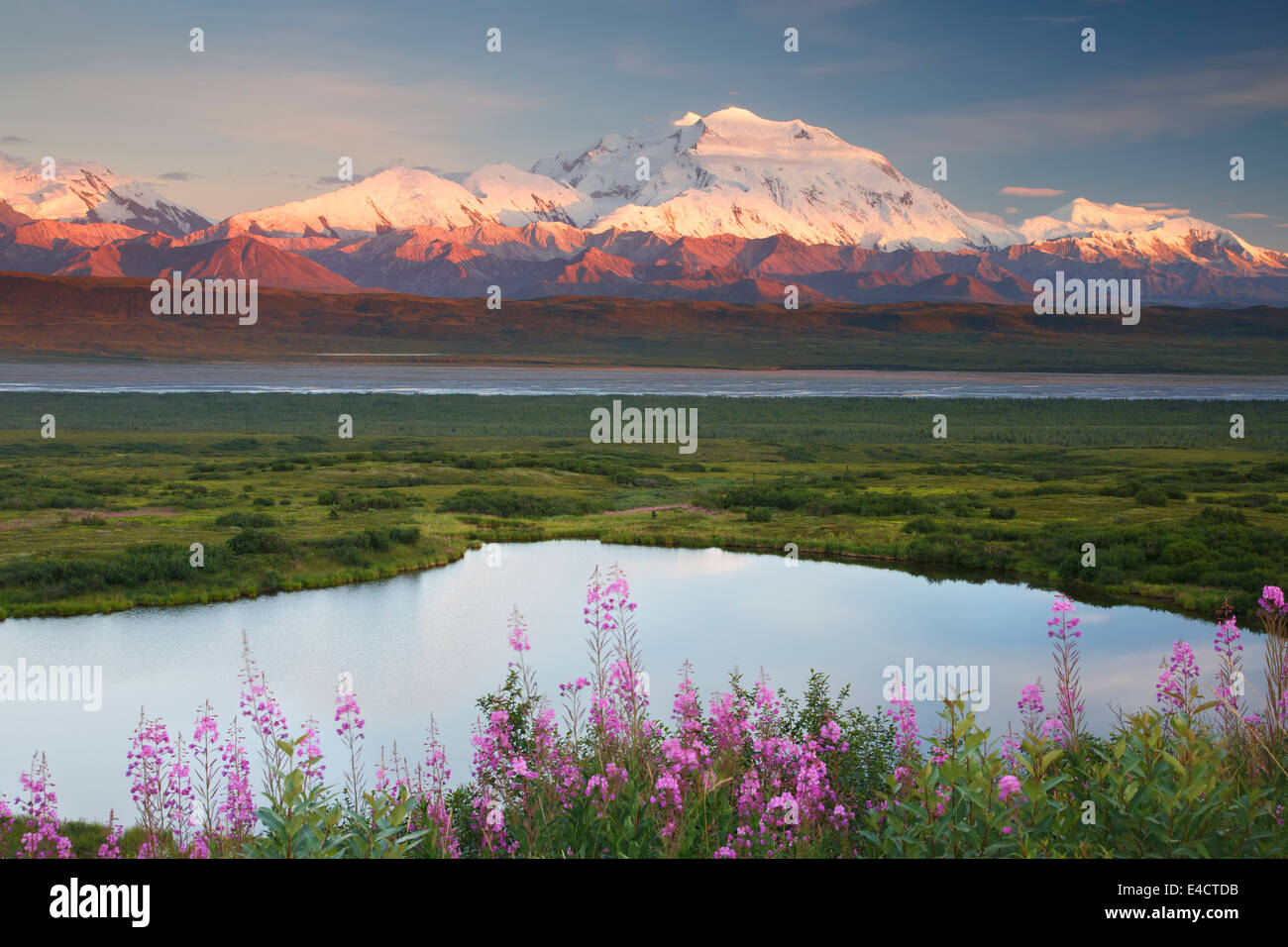 Mt. McKinley, auch bekannt als Denali Denali Nationalpark, Alaska. Stockfoto