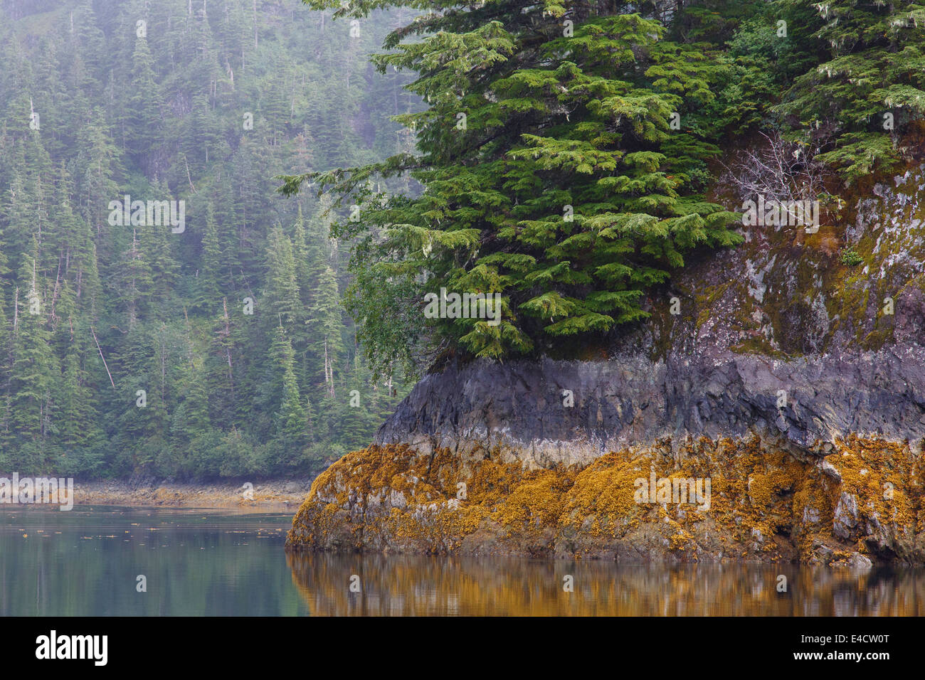 Ritter-Insel, Prinz-William-Sund, Chugach National Forest, Alaska. Stockfoto