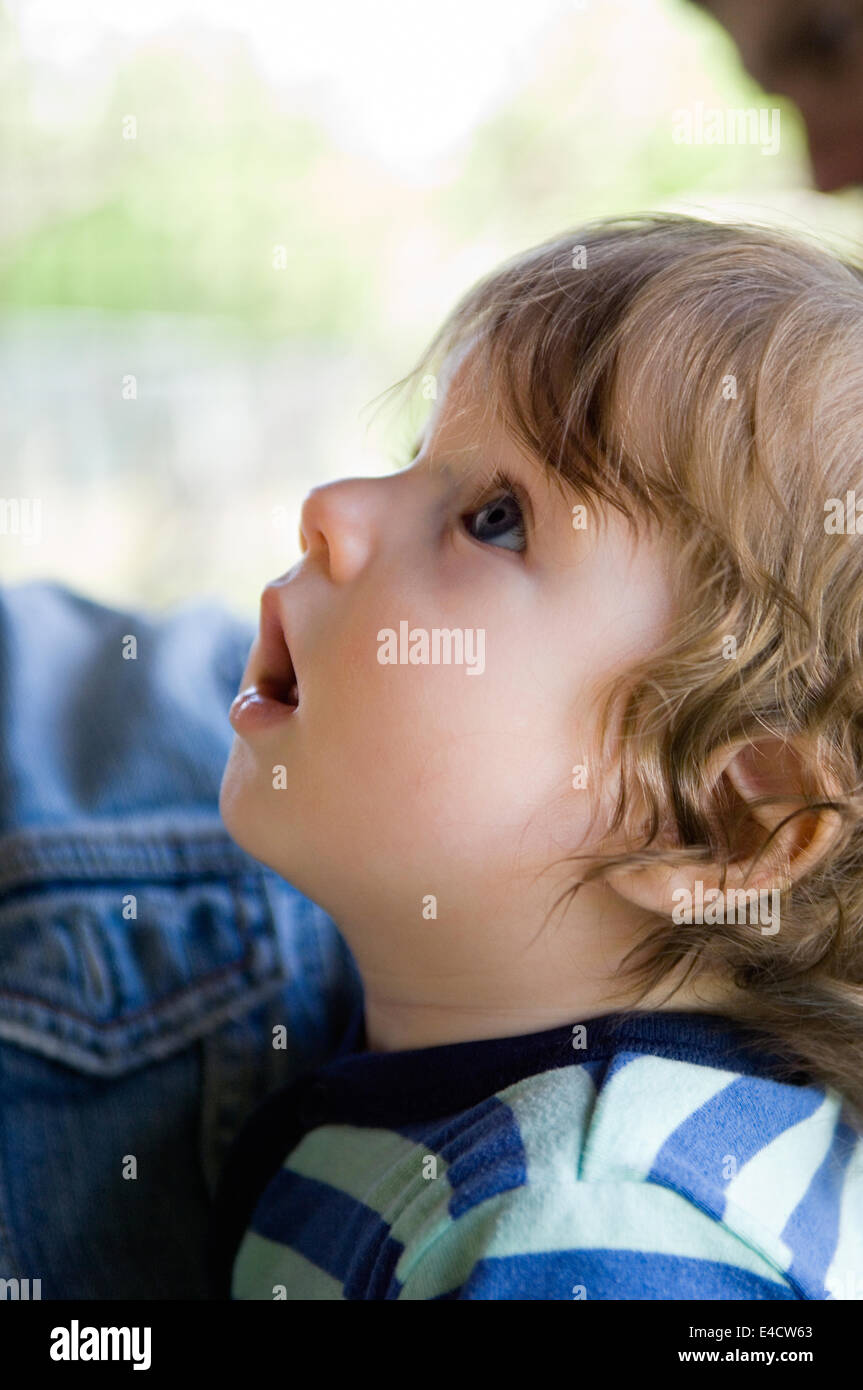 Porträt von sechs Monate alten Baby Boy Stockfoto