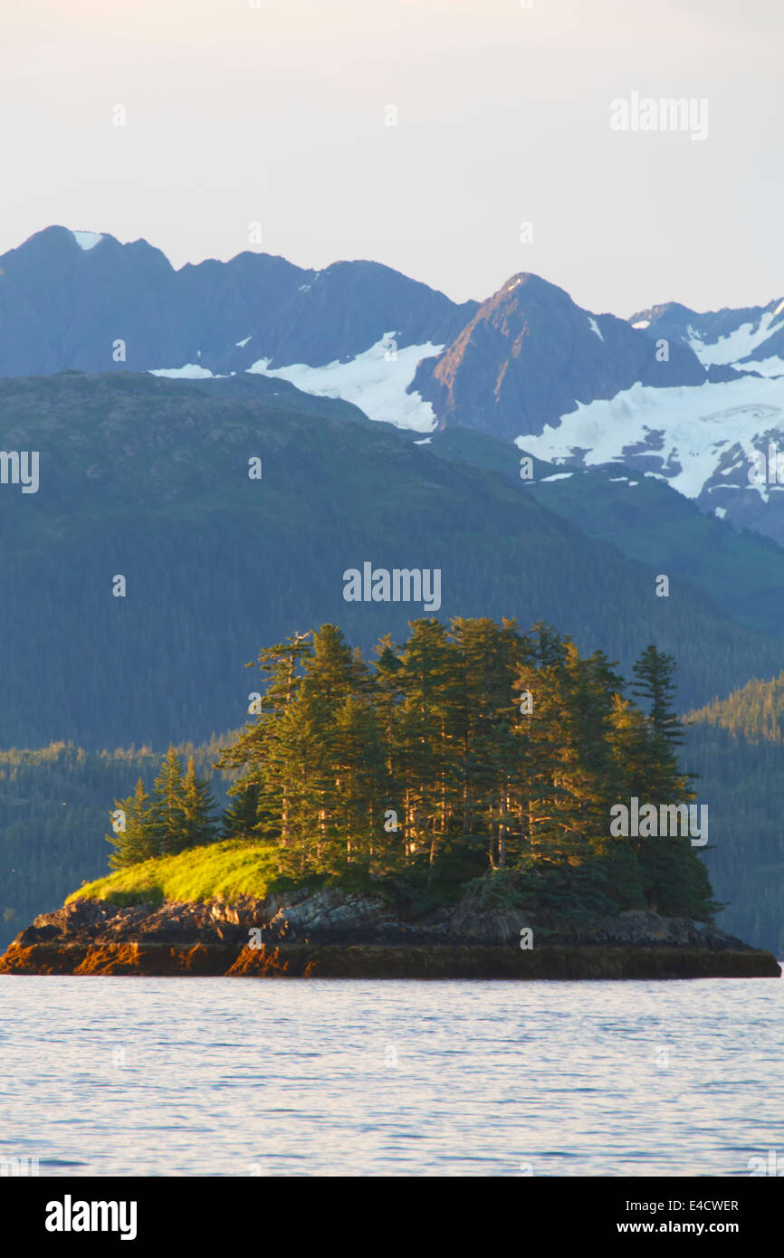 Prinz-William-Sund, Chugach National Forest, Alaska. Stockfoto