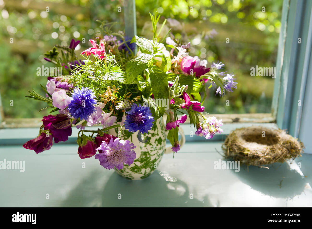 Sweet Pea Blumen und Minze in einer Vase auf einer Fensterbank mit Vogelnest Stockfoto