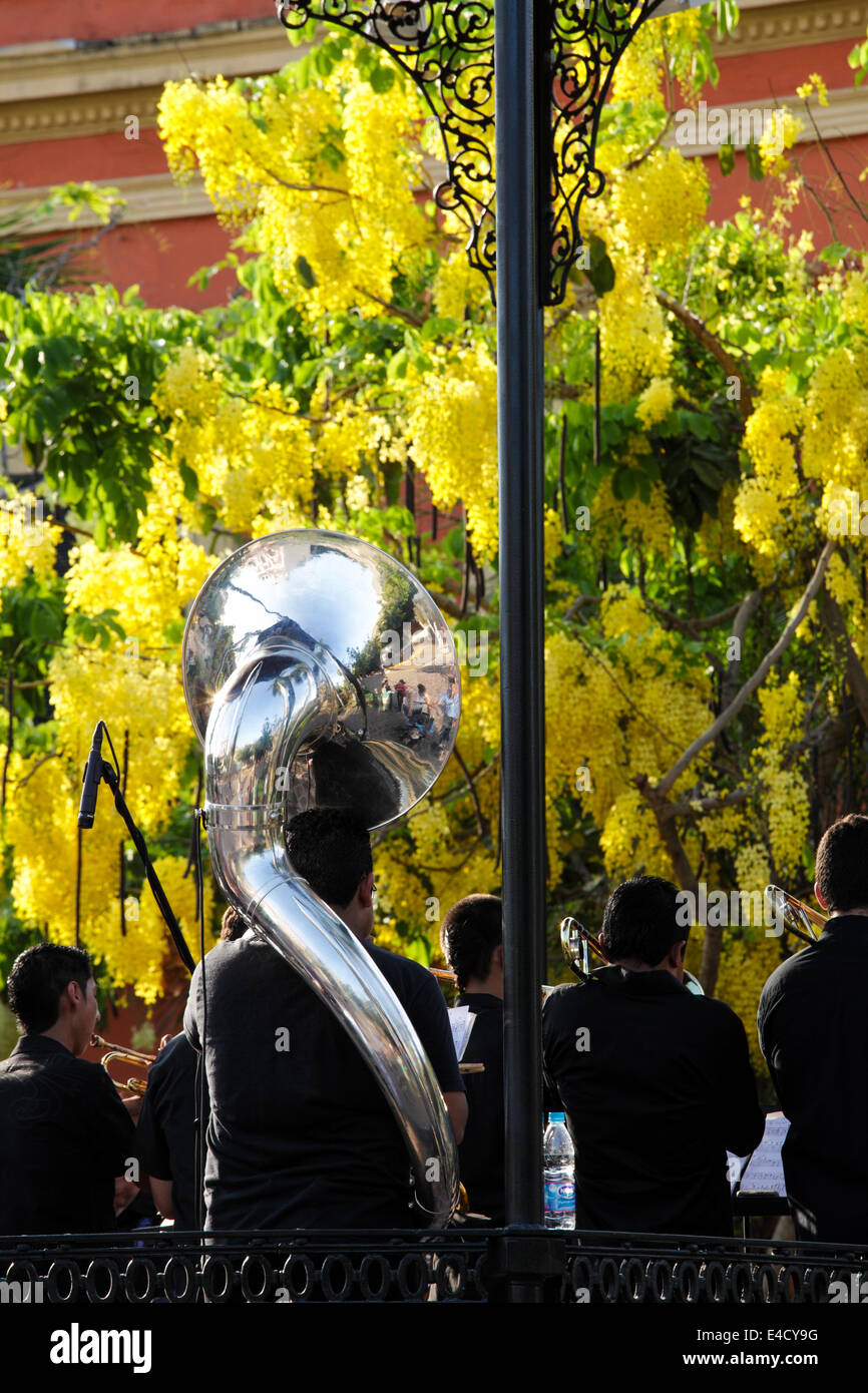 Tuba-Spieler und Band geben ein Konzert in der Plaza Machado in Viejo Mazatlan, Sinaloa, Mexiko. Stockfoto