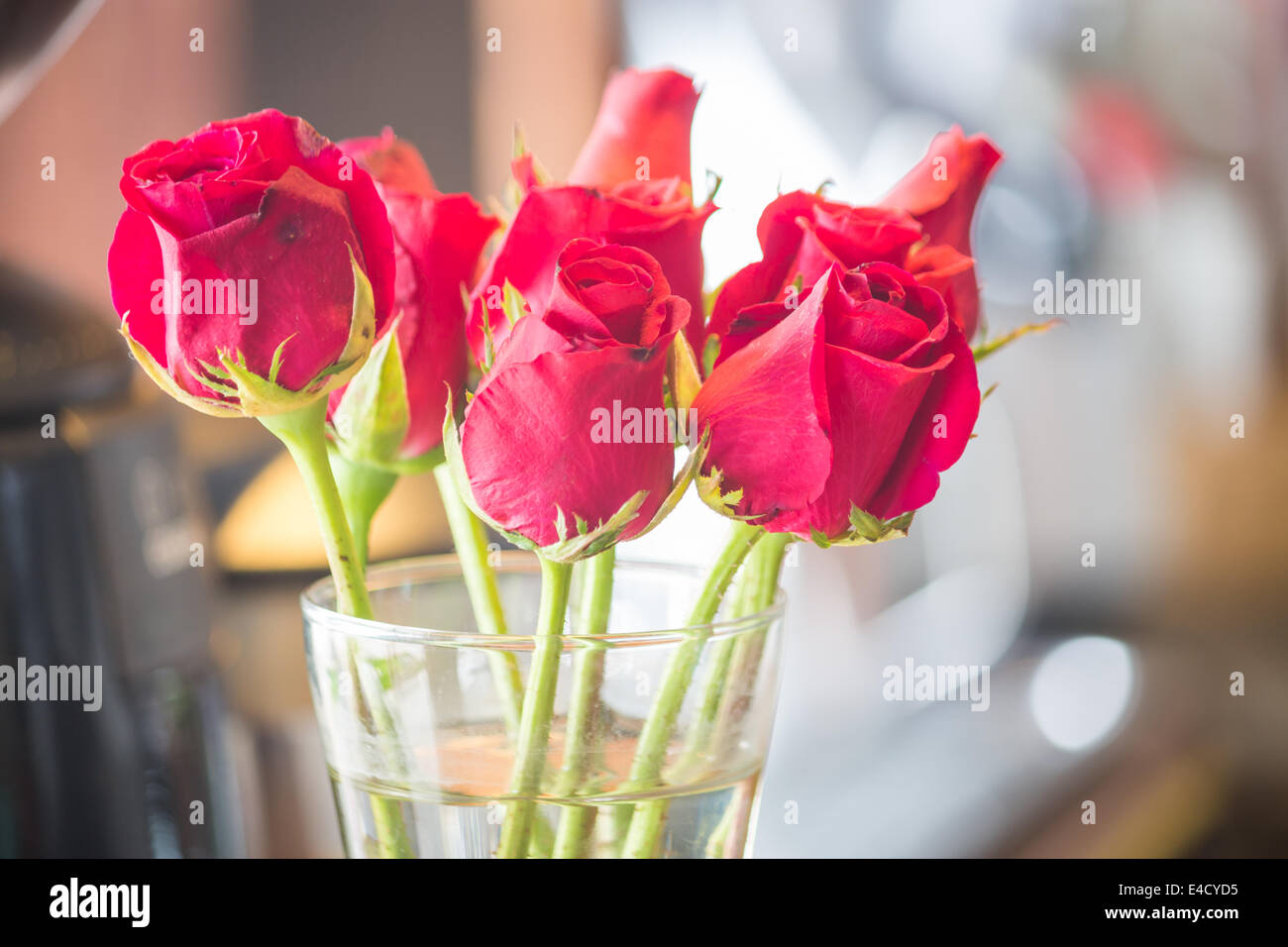Blühende rote Rosen in Vase, Fotoarchiv Stockfoto
