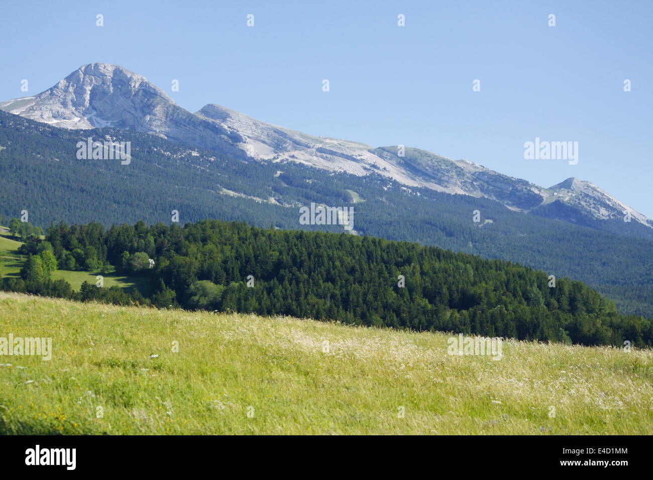 Berg, Villard de Lans, Vercors, Isère und Rhône-Alpes, Frankreich. Stockfoto