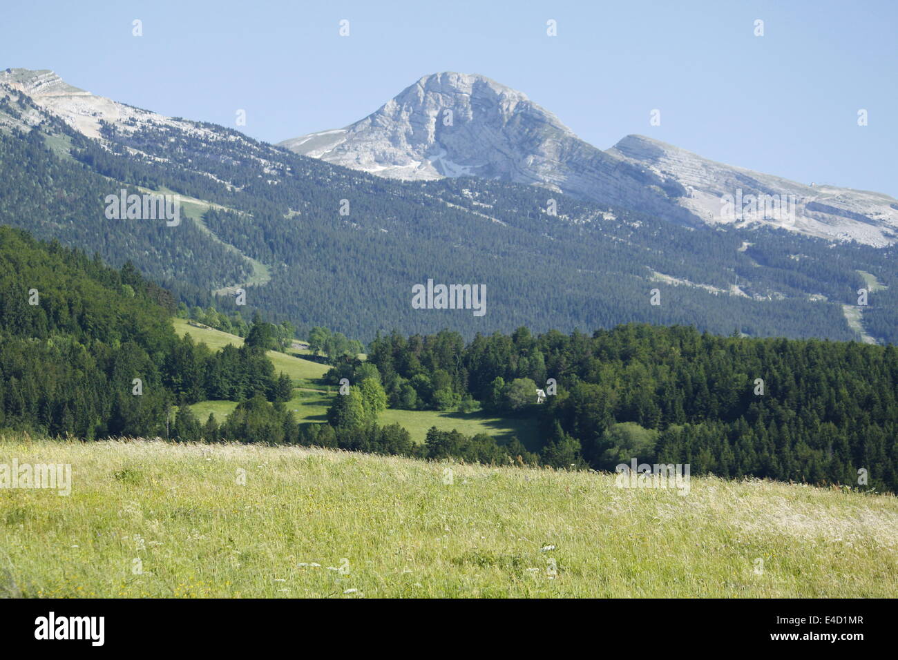 Berg, Villard de Lans, Vercors, Isère und Rhône-Alpes, Frankreich. Stockfoto