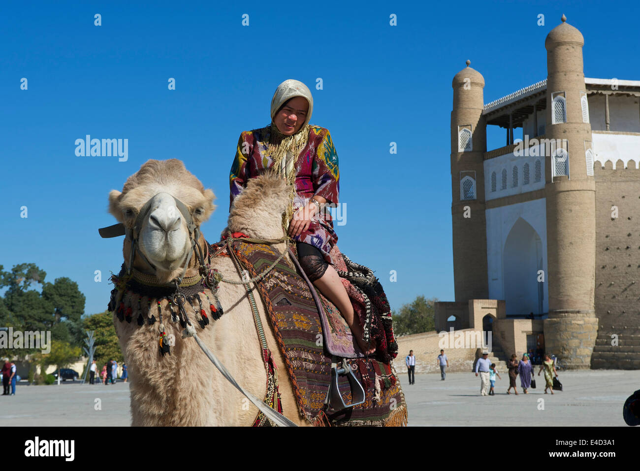 Lokale touristische auf einem Kamel vor der Arche Festung, Buchara, Usbekistan Stockfoto