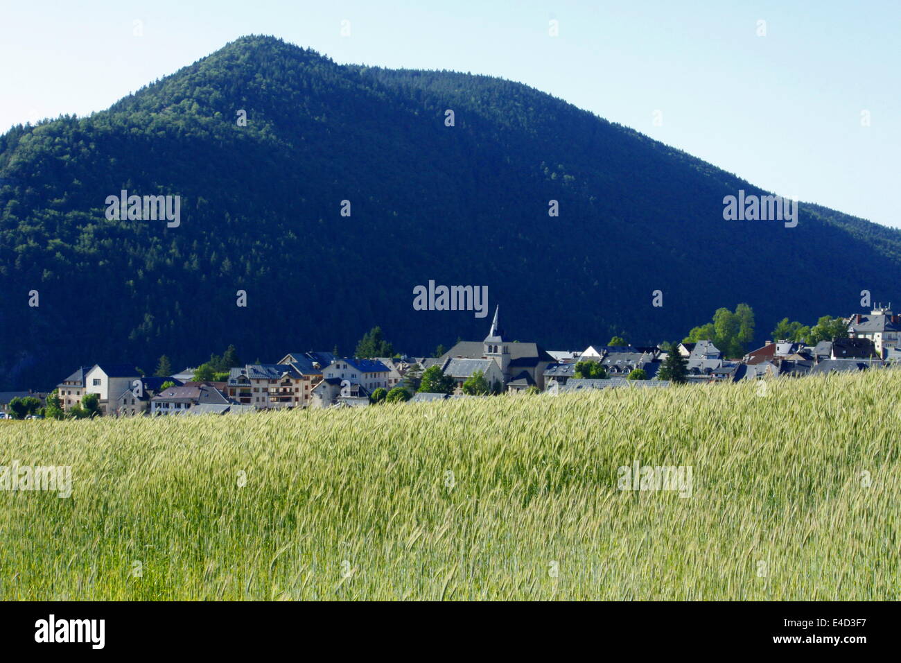 Dorf mit Mais-Feld, Villard de Lans, Vercors, Isère und Rhône-Alpes, Frankreich. Stockfoto