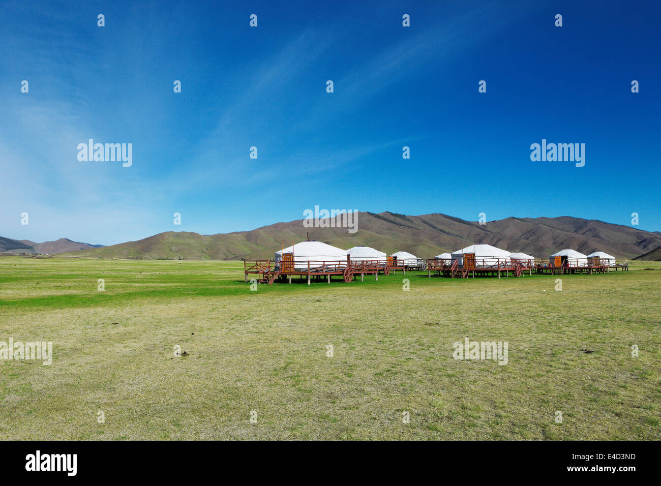 Jurte-Camp auf Rädern, Hustai Nationalpark, auch Khustain Nuruu National Park, südlichen Steppe, Övörkhangai Provinz, Mongolei Stockfoto