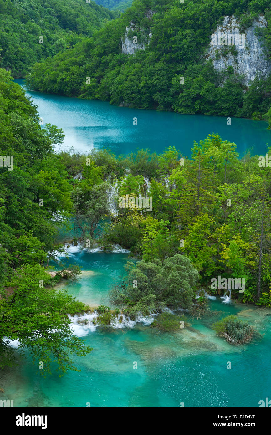 Unteren Seen mit kleinen Wasserfällen, Plitvice Jezera, Nationalpark Plitvicer Seen, Lika-Senj, Kroatien Stockfoto