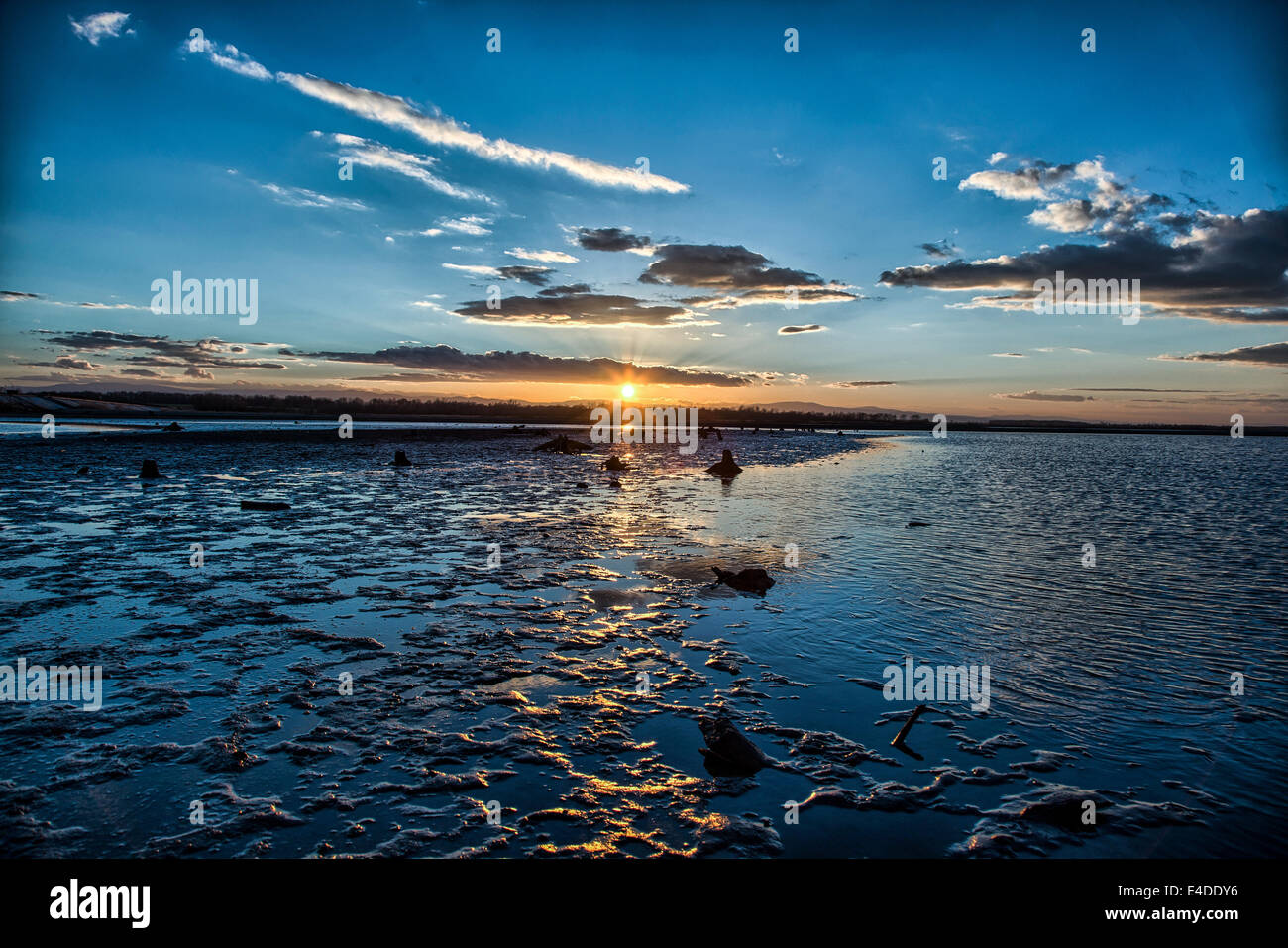 Schlamm und Sand am Strand des Sees Stockfoto
