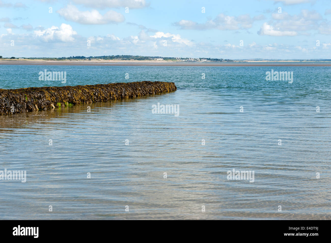 Sutton Strand, Halbinsel Howth, Irland Stockfoto