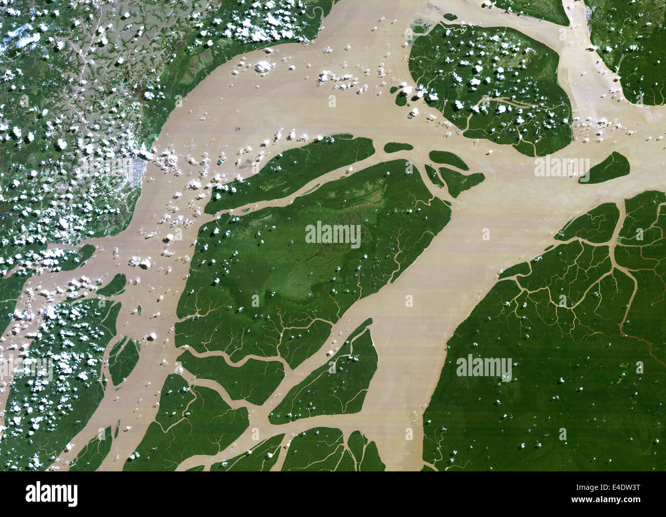 Amazonas-Delta, Brasilien, Echtfarben Satellitenbild. Echtfarben-Satellitenbild von dem Fluss Amazonas, eines der längsten Fluss Stockfoto