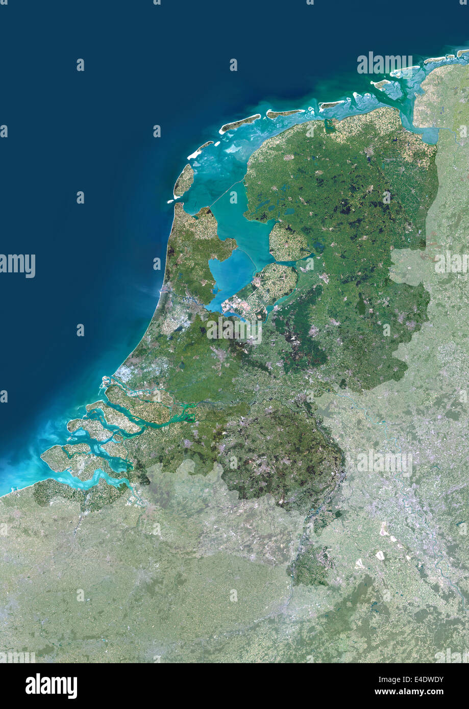 Niederlande, Europa, Echtfarben-Satellitenbild mit Maske. Satelliten-Ansicht der Niederlande (mit Maske). Dieses Bild war compil Stockfoto