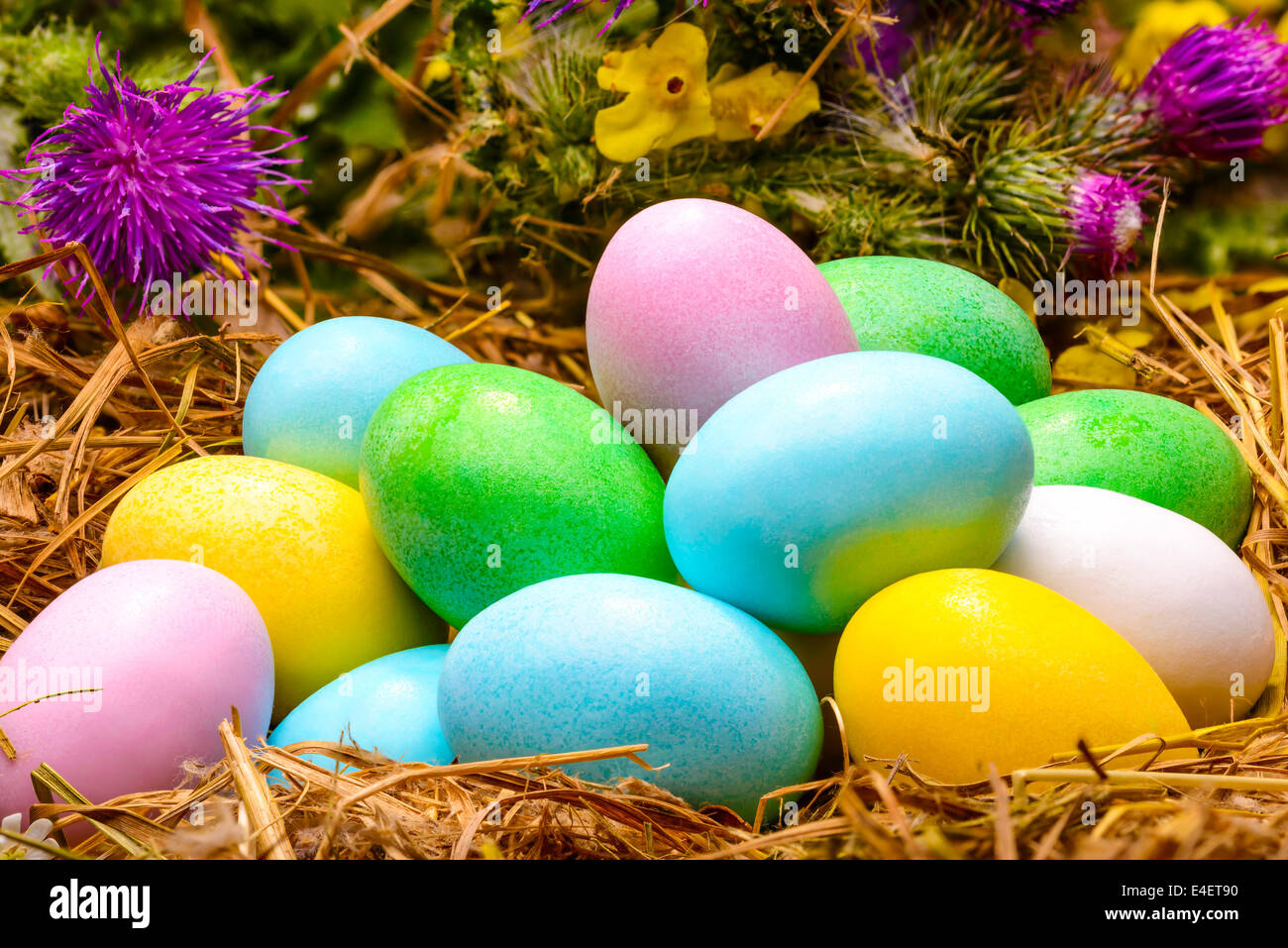 Kleine farbige Zucker und Schokoladeneier in einem Nest mit Lederblumen an Ostern feiern Stockfoto