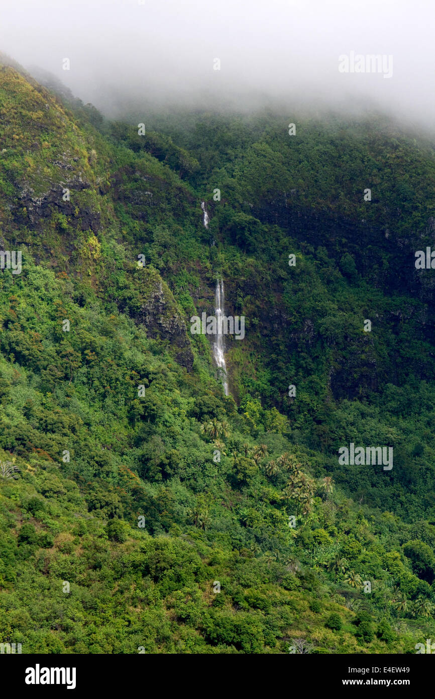 Üppige Vegetation auf der Insel Moorea, Französisch-Polynesien. Stockfoto