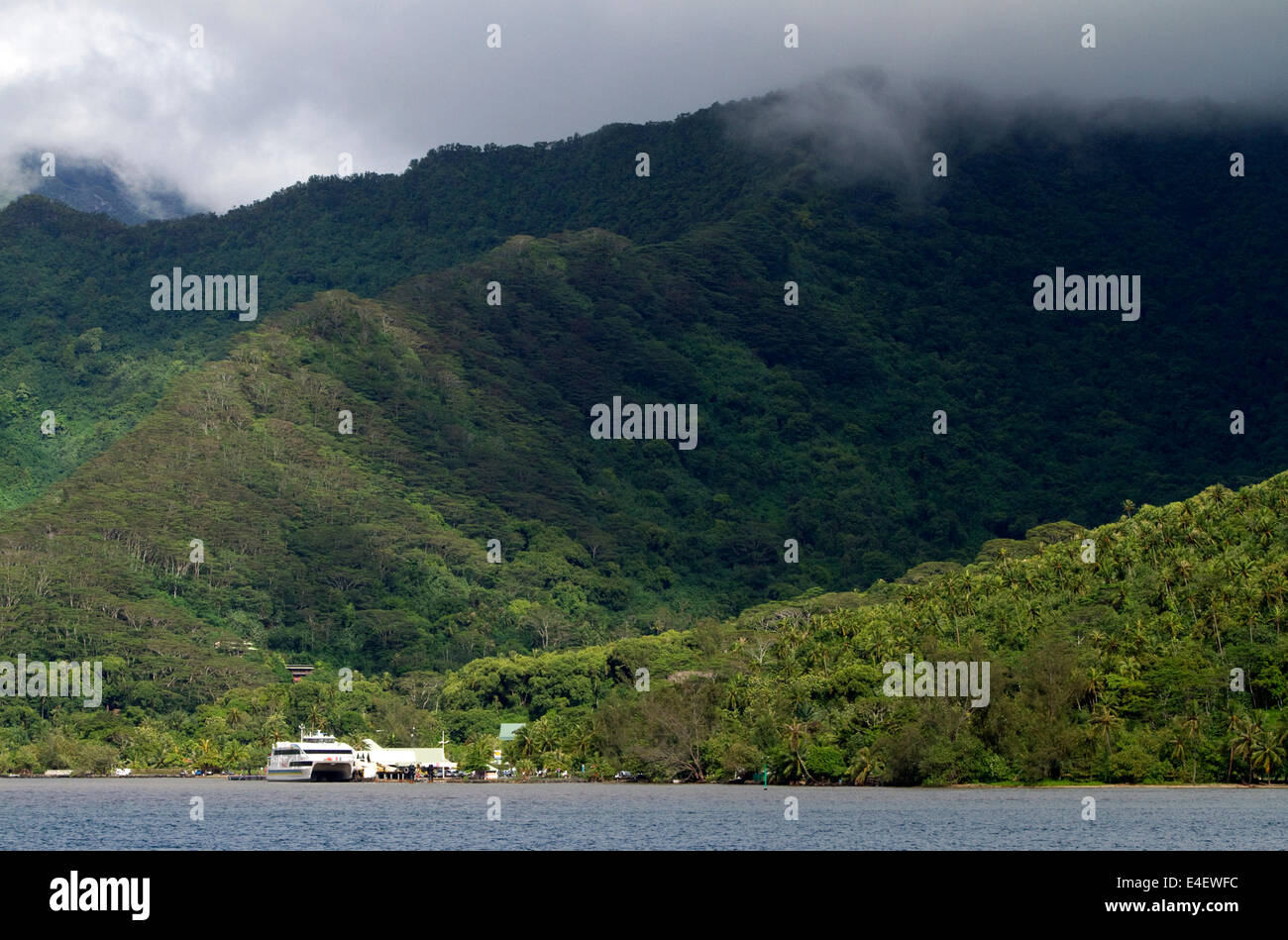 Üppige Vegetation auf der Insel Moorea, Französisch-Polynesien. Stockfoto